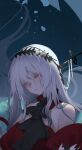  1girl absurdres arknights ascot bangs bare_shoulders detached_sleeves dress hair_ornament highres long_hair looking_down parted_lips portrait red_dress red_eyes silver_hair skadi_(arknights) skadi_the_corrupting_heart_(arknights) sleeveless solo umiu_geso 