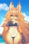  4_fingers absurd_res anthro breasts camel_toe canid canine claws clothing female finger_claws fingers fox fur gris_swimsuit hair hi_res inner_ear_fluff kemono mammal meme meme_clothing navel one-piece_swimsuit racal_ra seaside solo swimwear translucent translucent_clothing translucent_swimwear tuft under_boob 