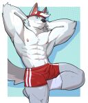  abs anthro backwards_hat biceps bottomwear canid canine canis clothing hands_behind_back hat headgear headwear hi_res jrjresq looking_at_viewer male mammal muscular muscular_anthro muscular_male neck_tuft nipples shirtless shorts smile solo tuft wolf 