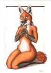  anthro canid canine colored_pencil_(artwork) female hi_res holding_object kneeling looking_at_viewer mammal maned_wolf nude plushie simple_background solo syntech teddy_bear traditional_media_(artwork) 