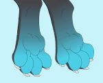  animated anthro claws dragon feet foot_fetish hi_res hindpaw male mituni_(artist) paws solo toe_curl toe_wiggle toes wiggle xero_(captainscales) 
