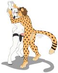  2022 anthro balls brown_hair cheetah digital_media_(artwork) duo felid feline fur genitals hair hi_res kissing kittydee male male/male mammal nude penis white_hair 