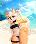  &lt;3 absurd_res anthro beach bikini blonde_hair canid canine canis clothing container cup disposable_cup domestic_dog dxxk female fluffy friendship_is_magic garter_straps glistening glistening_body gris_swimsuit hair hi_res inku inkutheshibainu latias legendary_pok&eacute;mon mammal my_little_pony nintendo outside pinkie_pie_(mlp) pok&eacute;mon pok&eacute;mon_(species) seaside shiba_inu small_waist solo spitz swimwear translucent video_games wide_hips 