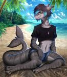 anthro beach clothed clothing cloud crop_top crystalberry detailed_background digital_media_(artwork) fish gem gynomorph intersex jewelry looking_at_viewer mammal marine necklace palm_tree plant sand sea seaside shark shirt sky smile solo topwear tree water wave 