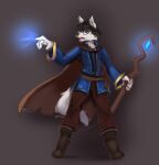  2020 anthro black_hair boots canid canine canis cape casting_spell clothing digitigrade domestic_dog eyewear footwear fur glasses hair holding_object holding_staff law_(doggylaw) magic male mammal simple_background solo staff standing temils white_body white_fur 