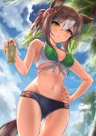  absurdres animal_ears breasts brown_hair cleavage cloud commentary_request fine_motion_(umamusume) folded_ponytail green_eyes hair_between_eyes herohero_(higashi_no_dou) highres horse_ears horse_girl horse_tail looking_at_viewer lotion medium_breasts navel palm_tree sky swimsuit tail tree umamusume 
