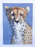  2021 ambiguous_gender anthro cheetah felid feline hi_res luikatje mammal painting_(artwork) portrait solo traditional_media_(artwork) watercolor_(artwork) 