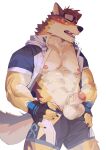  1boy abs animal_ears bara bare_pectorals barrel_(live_a_hero) beige_fur blue_male_swimwear blush brown_fur cowboy_shot dog_boy dog_ears dog_tail flaccid foreskin furry furry_male goggles goggles_on_head highres jacket large_pectorals live_a_hero looking_at_viewer male_focus male_swimwear muscular muscular_male nipples nose_blush official_alternate_costume open_clothes open_jacket orange_fur pectorals seato-hao short_hair solo stomach swim_briefs tail thick_thighs thighs uncensored 