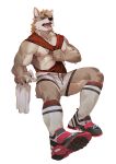  1boy abs animal_ears bara bare_pectorals blonde_hair body_fur bulge clothes_pull dog_boy dog_ears dog_tail full_body furry furry_male highres kneehighs male_focus muscular muscular_male nipples original pectorals pulled_by_self seato-hao shirt_pull shoes short_hair shorts sneakers snout socks solo sweat tail thick_eyebrows thick_thighs thighs towel white_shorts wrinkled_skin 