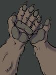  2020 5_fingers absurd_res ambiguous_gender brown_body brown_fur canid canine claws fingers first_person_view fur hi_res mammal pawpads phrannd simple_background solo 