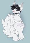  2019 anthro black_nose canid canine canis collar cute_fangs digital_media_(artwork) domestic_dog eyewear fur glasses hair hi_res kanookies law_(doggylaw) looking_at_viewer male mammal short_hair smile solo white_body white_fur 