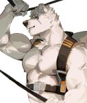  1boy abs animal_ears backpack bag bara bear_boy bear_ears belt biceps body_fur flexing furry furry_male highres holding large_pectorals male_focus muscular muscular_male nipples no_shirt original pectorals pose scar scar_across_eye seato-hao short_hair smirk snout solo stomach thick_eyebrows upper_body white_fur 