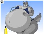  anthro breasts canid canine canis chrisandcompany clothing female helium_tank hi_res inflation mammal solo swimwear wolf 