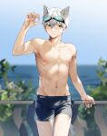  1boy against_railing animal_ears arm_up bangs blue_male_swimwear blurry blush cat_boy cat_ears cowboy_shot day depth_of_field expressionless goggles goggles_on_head green_eyes hair_between_eyes hand_on_railing highres ishida_(segu_ishida) looking_at_viewer looking_away male_focus male_swimwear navel ocean original outdoors pectorals railing short_hair standing sunlight swim_briefs wet white_hair 