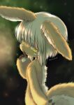  1girl :3 animal_ears body_fur finger_to_mouth from_behind furry furry_female kyuubi_mika looking_back made_in_abyss nanachi_(made_in_abyss) rabbit_ears short_hair smile solo tail upper_body whiskers white_hair yellow_eyes 
