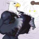  accipitrid accipitriform animal_crossing apollo_(animal_crossing) avian bald_eagle bird bottomless clothed clothing eagle furry_chu hi_res hypnosis male mammal mind_control muscular muscular_male nintendo sea_eagle undressing video_games 