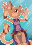  anthro big_hands blue_eyes brown_fur clothed clothing domestic_cat felid feline felis fur male mammal nobusuke pawpads shirt shorts simple_background tank_top 