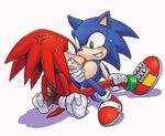  anal angry arms_behind_back full_body karlo_(artist) knuckles_the_echidna male_focus multiple_boys sex sonic sonic_the_hedgehog tied tied_up white_background yaoi 