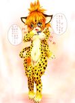  1girl animal_ears barefoot belly_button blush breasts feet furry navel nipples nude paws pussy solo tail toes translation_request 