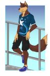  anthro canid canine clothing fox male mammal multicolored_body raised_leg solo treebarkdragon 