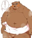  0119_muu 2022 anthro belly blush brown_body genitals japanese_text kemono male mammal moobs overweight overweight_male penis solo steam text towel ursid 