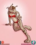  anthro bell canadian_lynx christmas clothing collar feet felid feline felis female holidays lingerie lynx mammal nicnak044 nicole_(nicnak044) paws pinup pom_poms pose solo 