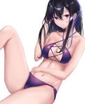  1girl arm_across_waist bangs bikini black_hair breasts eyebrows ichinose_uruha long_hair looking_at_viewer medium_breasts midriff multicolored_hair navel purple_bikini purple_eyes solo streaked_hair swimsuit user_jawd8522 virtual_youtuber vspo! 