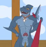  abs admiralbruh1897 anthro balls blue_body blue_sky dungeons_of_aether erection first_person_view fish genitals hi_res humanoid jewelry leash leash_pull leashed_pov looking_at_viewer male marine muscular necklace nipples pecs penis rivals_of_aether shark sharp_teeth sky slade_(dungeons_of_aether) solo teeth video_games yellow_eyes 