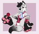  &lt;3 accessory animal_genitalia animal_penis anthro arctic_fox balls bdsm bedroom_eyes black_body black_fur black_hair black_nose blue_eyes bondage bound canid canine canine_penis cute_fangs digit_ring feet femmy_(femboyfoxxo) flower fluffy fluffy_tail foot_fetish foot_focus foot_play fox fur genitals glistening glistening_eyes glistening_hair grey_body grey_fur grin hair head_tuft hi_res hindpaw holidays inviting jewelry knot looking_at_viewer male mammal narrowed_eyes onlypaws pawpads paws penis plant presenting raised_leg ribbon_bondage ribbons ring rose_(flower) scarf seductive sheath sitting smile smiling_at_viewer solo solo_focus spread_legs spread_toes spreading teal_eyes teeth toe_curl toe_ring toes tuft valentine&#039;s_day vein veiny_penis white_body white_fur wrinkled_feet 