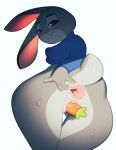  2022 4_fingers anthro anus blush bottomless breasts carrot clothed clothing disney female fingers food genitals judy_hopps lagomorph leporid looking_at_viewer mammal nipple_outline plant pussy rabbit solo svarzye topwear vegetable zootopia 