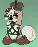  2021 absurd_res ambiguous_gender bdsm bondage bound canid canine crownedvictory hi_res mammal nervous null open_mouth restraints rope rope_bondage rope_harness simple_background solo tagme 
