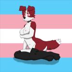  1:1 anthro black_nose border_collie breasts canid canine canis cheek_tuft cherrythecollieuwu clothing collie dipstick_tail domestic_dog facial_tuft female floppy_ears footwear fur herding_dog hi_res humanoid lgbt_pride mammal markings navel pastoral_dog pink_eyes pride_colors red_body red_fur red_tail shadow sheepdog socks solo tail_markings trans_(lore) trans_woman_(lore) transgender_pride_colors tuft white_body white_fur white_tail 