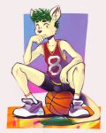  2021 anthro ball basketball_(ball) basketball_jersey bottomwear clothing ducky_(artist) footwear gradient_background hi_res mammal number_print plantigrade shoes shorts simple_background sitting socks sport white_background yellow_eyes 