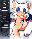  animal_ears bat_wings boots breasts furry gloves large_breasts naked nipples nude pussy rouge_the_bat sonic_the_hedgehog uncensored wings 