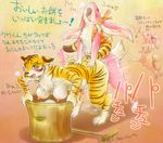  bent_over bestiality blue_eyes blush breasts bunny comedy funny furry hanging_breasts melonleaf nipples penis rabbit rape tiger translation_request upset wet 