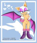  animal_ears bat_wings boots breasts furry gloves large_breasts naked nipples nude pussy rouge_the_bat sonic_the_hedgehog uncensored wings 