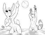  2020 5_fingers absurd_res anthro ball balls beach_ball biped black_and_white casual_nudity duo eyewear eyewear_only fingers fur genitals glasses glasses_only hi_res inflatable lagomorph leporid looking_back male mammal markings monochrome nude partially_submerged penis penis_tip rabbit raised_arms rick_griffin signature sketch striped_markings striped_tail stripes tail_markings wet whistle wristband 