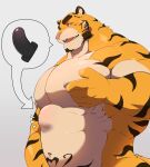  2022 abdominal_bulge anthro barazoku cromren felid hi_res humanoid_hands kemono male mammal musclegut nipples pantherine sex_toy simple_background solo tiger yellow_body 