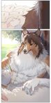  aman_(weibo) anthro brown_body brown_fur brown_nose canid canine canis comic domestic_dog feral fur group herding_dog hi_res humanoid_hands male mammal muscular muscular_male outside pastoral_dog plant sitting tree white_body white_fur 