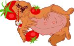  2022 alpha_channel belly big_belly big_nose bird_dog blush brown_body brown_fur brown_lips brown_nose canid canine canis container cup digital_media_(artwork) domestic_dog eyelashes eyes_closed female feral food fruit fur glistening glistening_body glistening_lips glistening_nose golden_retriever happy hunting_dog lips long_fur low_res mammal markhor_(artist) multi_nipple nipples pixel_(artwork) plant pregnant pregnant_female retriever simple_background smile solo straw tired tomato transparent_background 