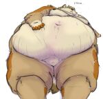  2021 anthro begging belly big_belly buried_penis canid canine canis colored coyote deep_navel dipstick_tail english_text fatpad genitals hand_on_stomach hi_res huge_moobs huge_thighs hyper hyper_belly hyper_thighs inner_ear_fluff male mammal markings moobs morbidly_obese morbidly_obese_anthro morbidly_obese_male multicolored_body navel nipples obese obese_anthro obese_male overweight overweight_anthro overweight_male penis rain_(vanillayote) signature simple_background solo tail_markings text thick_thighs tuft vanillayote white_background 