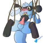  animal_genitalia animal_penis anus balls blush canine_penis entangled erection feral genitals hugo_the_riolu hugoriolu knot male nintendo penis pok&eacute;mon pok&eacute;mon_(species) riolu rope simple_background solo video_games white_background 