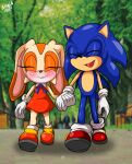  anthro blue_body blue_fur clothed clothing cream_the_rabbit duo eulipotyphlan eyes_closed female footwear fur gloves gloves_(marking) gloves_only handwear handwear_only hedgehog hi_res humanoid lagomorph leporid male male/female mammal markings mostly_nude park rabbit sega shoes sirjzau smile sonic_the_hedgehog sonic_the_hedgehog_(series) tan_body tan_fur walking 