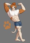  abs badroy beagle canid canine canis domestic_dog hunting_dog male mammal midriff muscular muscular_male scent_hound solo 