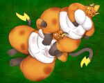  anthro belly big_belly big_butt butt cocoa_(cheesecaker) duo female female/female fur grass mammal nintendo nude obese obese_anthro obese_female orange_body orange_fur outside overweight overweight_anthro overweight_female plant pok&eacute;mon pok&eacute;mon_(species) raichu rodent simple_background sumo-griz tesla_(cheesecaker) thick_thighs video_games wrestling 