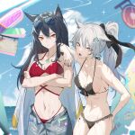  2girls absurdres alternate_costume alternate_hairstyle animal_ear_fluff animal_ears arknights arm_on_shoulder arm_up bangs bare_arms bare_shoulders bikini black_bikini black_bow blue_sky bow breasts cleavage closed_mouth cowboy_shot crossed_arms day eyebrows_visible_through_hair eyewear_on_head fang frilled_bikini frills hair_bow hair_ornament hairclip hand_on_hip highres horizon jewelry krin lappland_(arknights) long_hair looking_at_viewer medium_breasts multiple_girls necklace ocean open_fly open_mouth orange_eyes oripathy_lesion_(arknights) outdoors ponytail red_bikini scar scar_across_eye silver_hair sky sunglasses surfboard swimsuit texas_(arknights) v-shaped_eyebrows wolf_ears yellow_eyes 