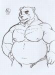  2022 anthro asian_clothing belly blush clothing east_asian_clothing fundoshi humanoid_hands japanese_clothing juuichi_mikazuki lexor_komuga male mammal moobs morenatsu nipples overweight overweight_male sketch solo underwear ursid video_games visual_novel 