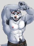  abs absurd_res anthro armpit_hair beastsauc3 belt body_hair bottomwear brown_nose canid canine clothing eyebrows eyewear eyewear_on_head fur gadget_(beastsauc3) goggles goggles_on_head green_eyes grey_body grey_fur hands_over_head happy_trail hi_res looking_at_viewer male mammal multicolored_body multicolored_fur muscular muscular_male neck_tuft nipples open_mouth pants pants_only pecs scar solo teeth tongue tuft two_tone_body two_tone_fur 