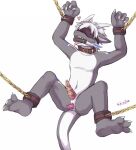  &lt;3 anal anal_penetration anthro blindfold chain chained chastity_cage chastity_device cuff_(restraint) gag grey_body hair kobold male markings multicolored_body penetration restraints signature skoll_(pixiv) solo spread_arms spread_legs spreading two_tone_body urethral urethral_penetration white_body white_hair 
