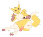  2021 anthro anus bandai_namco butt conditional_dnp digimon digimon_(species) digital_media_(artwork) feet fluffy_chest fur genitals kippy looking_at_viewer lying male on_side pawpads penis renamon simple_background solo yellow_body yellow_fur 